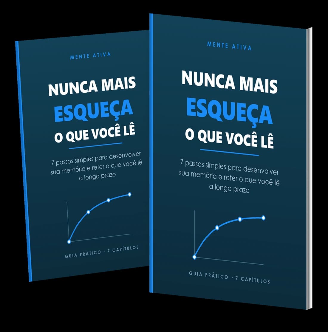 O livro em formato digital, pronto para leitura